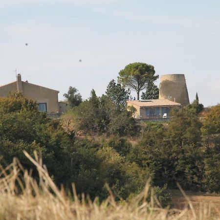 La Bleuette Pension Montmaur  Buitenkant foto