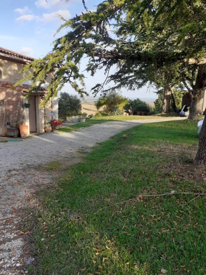La Bleuette Pension Montmaur  Buitenkant foto